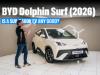 BYD Dolphin Surf