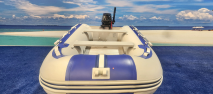 Aqua Strike 320 Fold-up - 15HP Parsun 2-Stroke Natal Power Boats