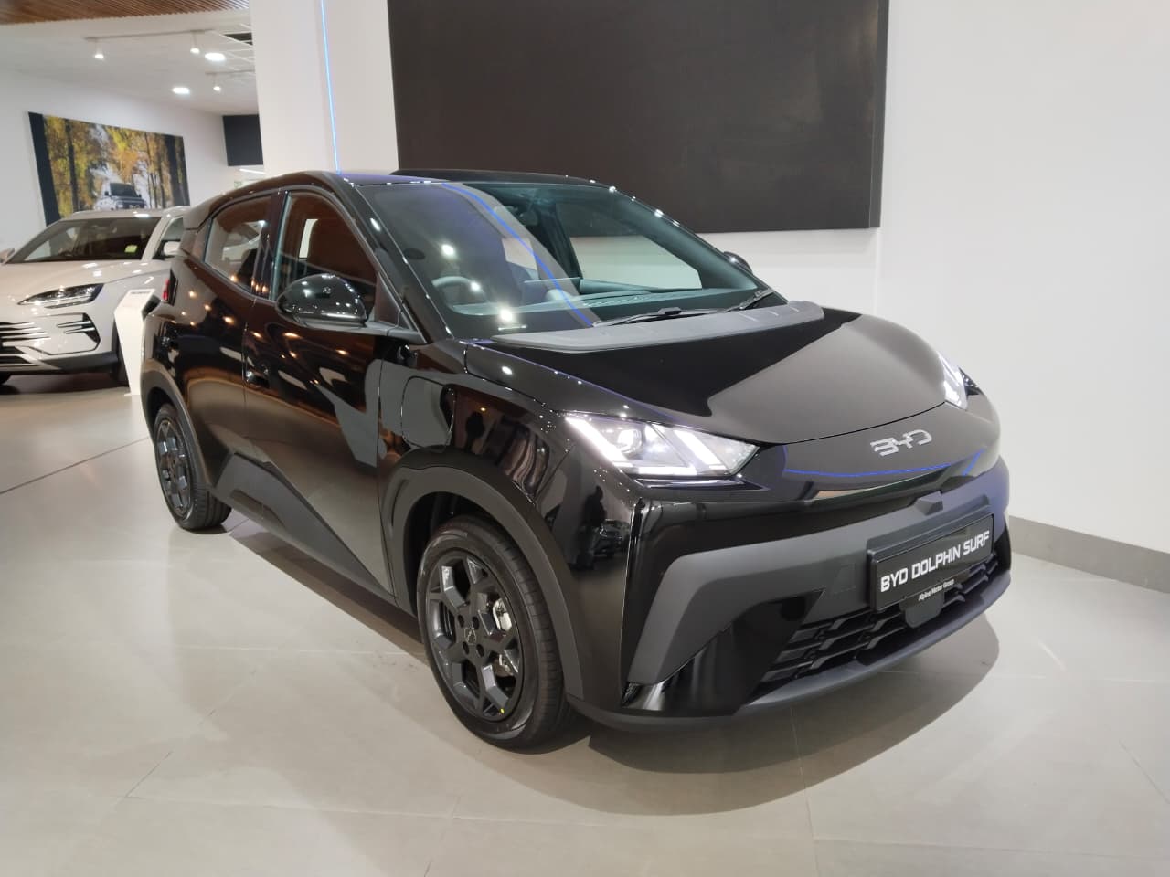 2026 BYD Dolphin Surf Dynamic for sale