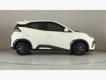 BYD Dolphin Surf Dynamic BYD Fourways Pre owned