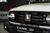 GWM Tank 300 2.0T HEV Super Luxury 4x4 Haval Bruma