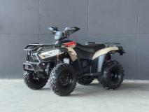 Linhai 300 SPORT Fast KTM