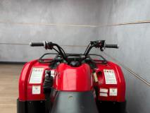 Yamaha GRIZZLY 660 UB Leisure Bikes