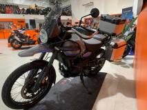 Royal Enfield Himalayan 450 Perry Bikes