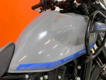 Royal Enfield Himalayan 450 Perry Bikes