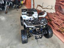 Hunter Tau hunter 125 AUTOMATIC The Diff and Chain