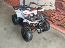 Hunter Tau hunter 125 AUTOMATIC The Diff and Chain