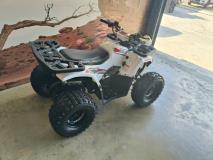 Hunter Tau hunter 125 AUTOMATIC The Diff and Chain