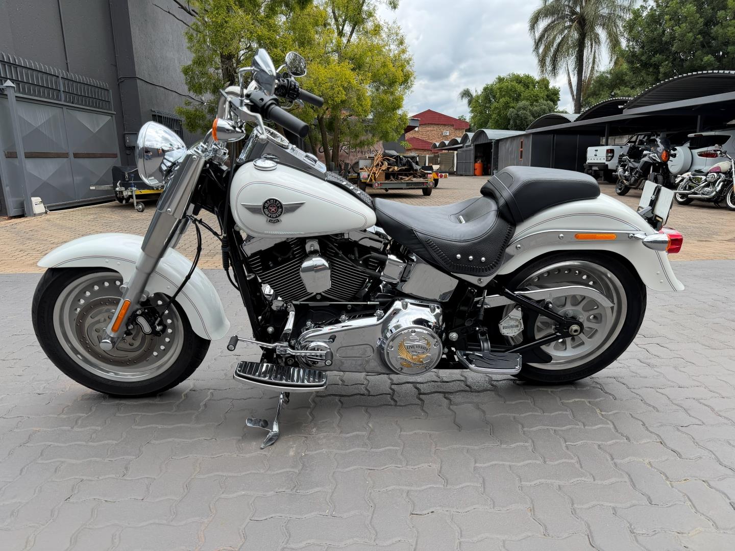 Harley-Davidson Softail Fat Boy Eazy Rider Motorcycles