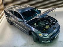 Ford Mustang 5.0 GT Auto Botha and Deysel Executive Motors