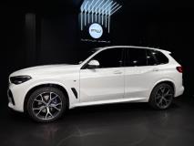 BMW X5 xDrive30d M Sport Platinum Wheels