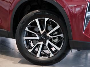 2022 Haval H6 2.0T Premium for sale