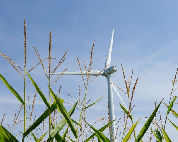 Agriculture News