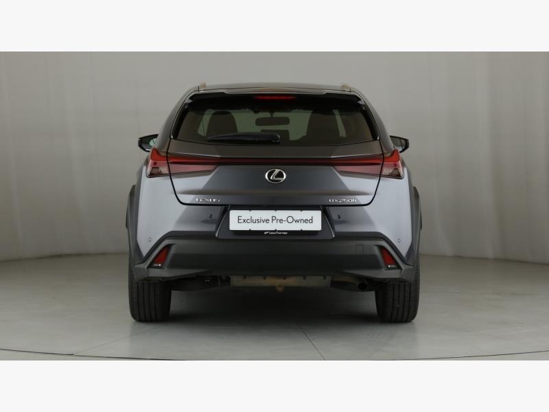 Lexus UX 250h EX Halfway Lexus Fourways