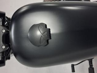 2018 Harley-Davidson Sportster Iron 883  for sale