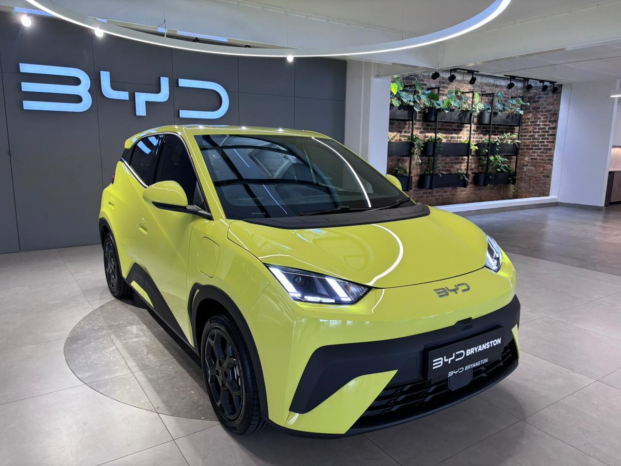 2026 BYD Dolphin Surf Comfort