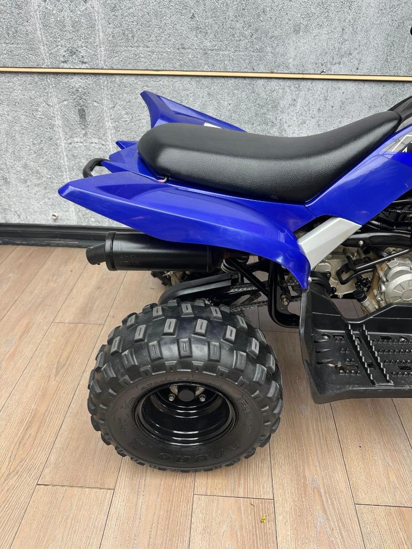 Yamaha Raptor 90 UB Leisure Bikes