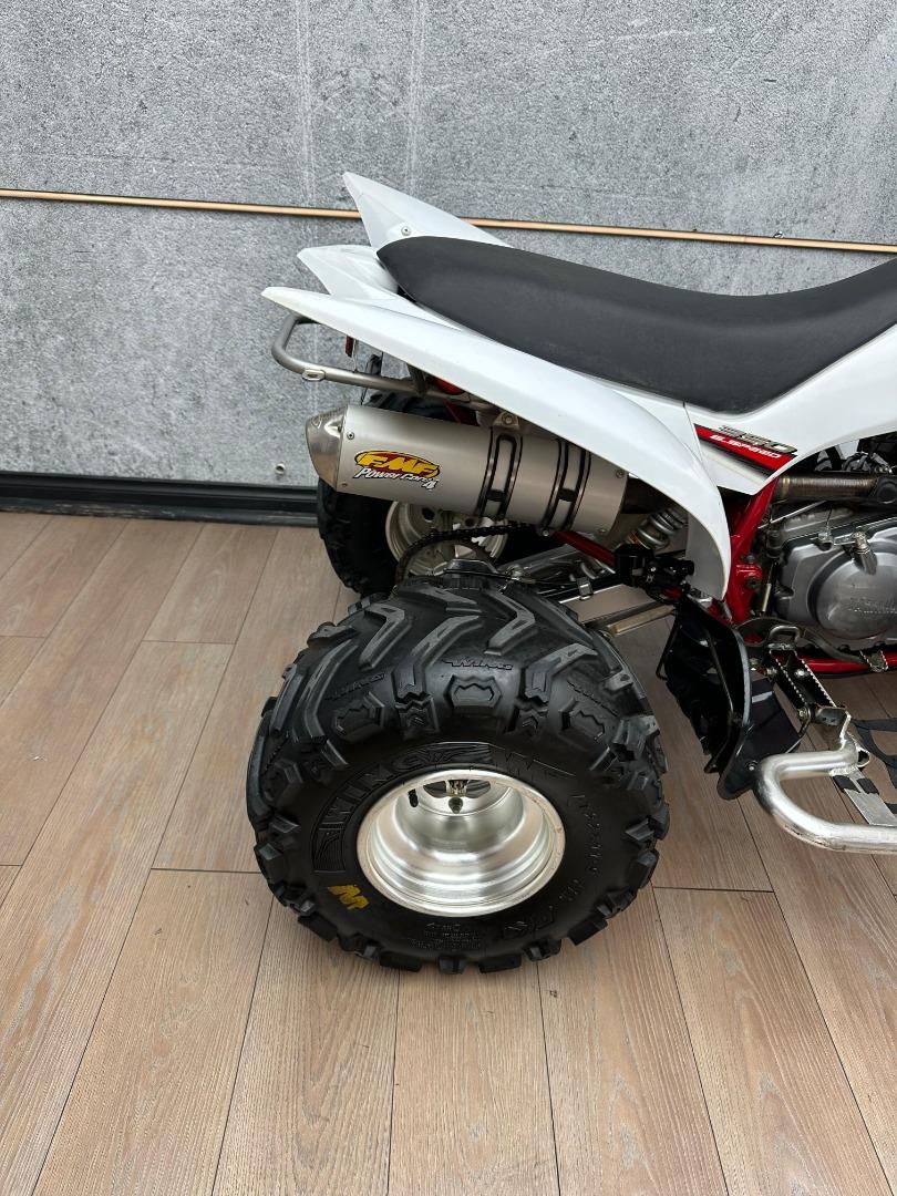 Yamaha Raptor 350 UB Leisure Bikes