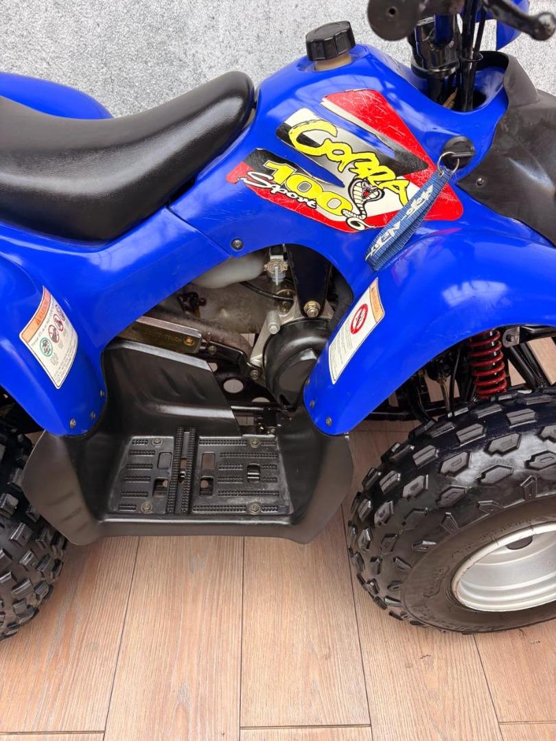 Aeon COBRA 100 UB Leisure Bikes