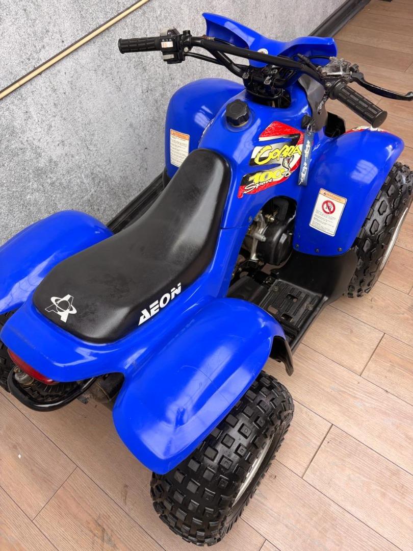 Aeon COBRA 100 UB Leisure Bikes
