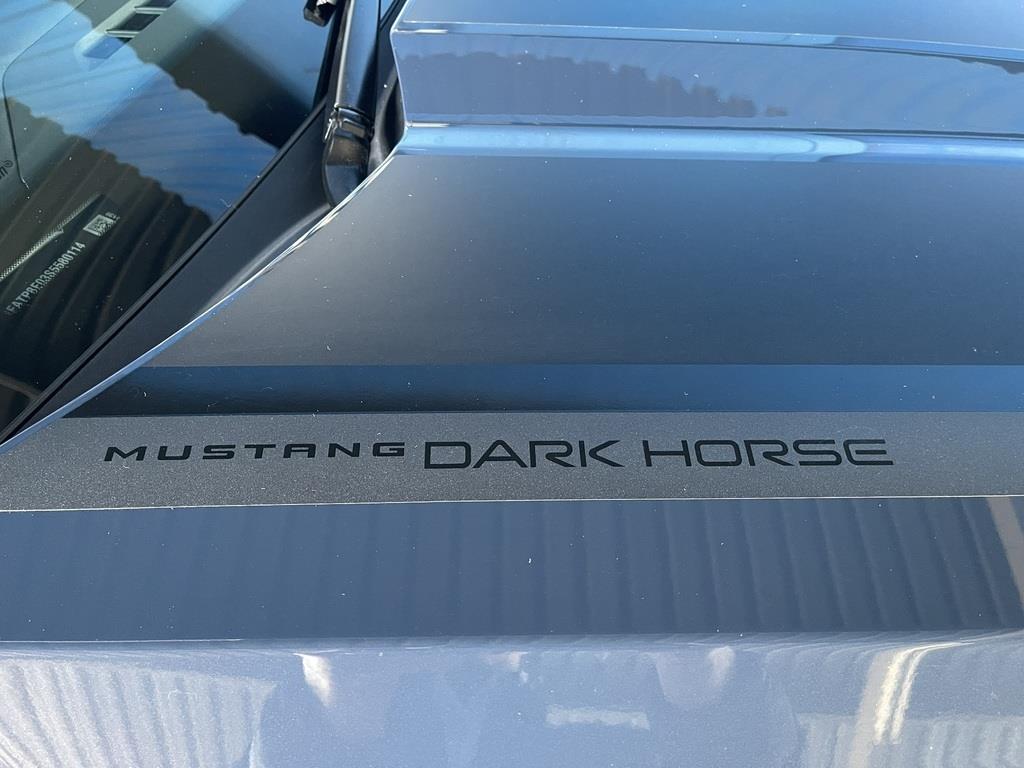 Ford Mustang Dark Horse Fastback Gys Pitzer Motors Wonderboom