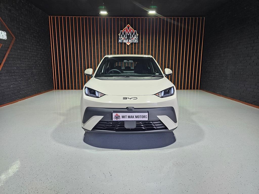BYD Dolphin Surf Comfort Mit Mak Motors Gerrit Maritz
