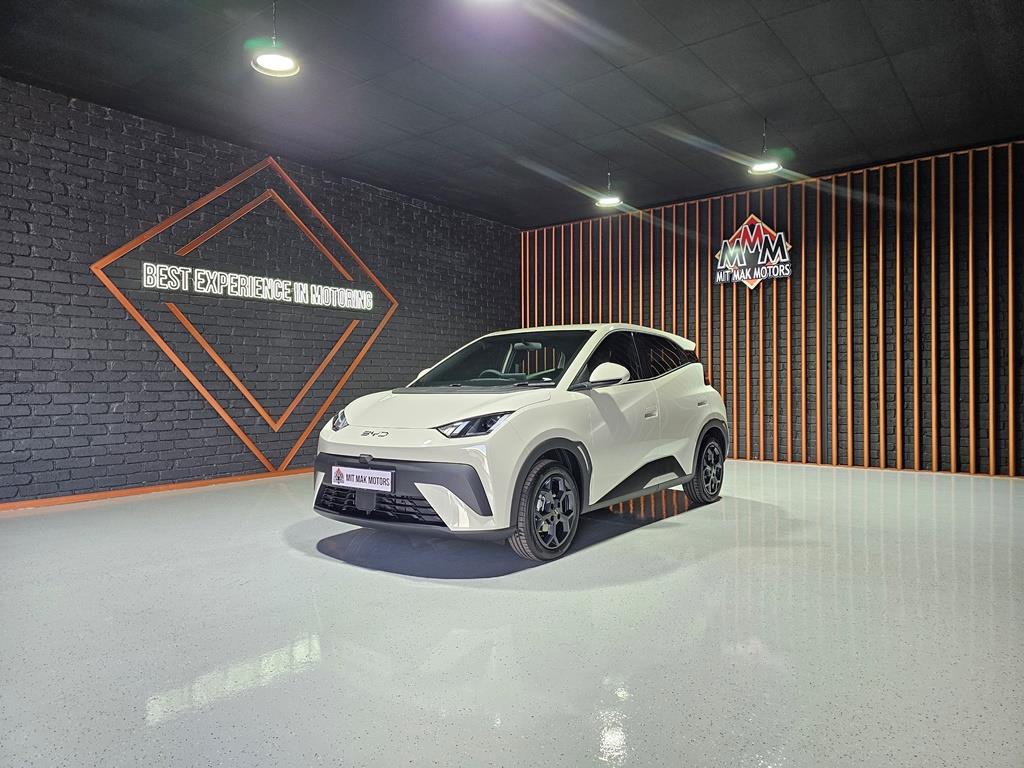 BYD Dolphin Surf Comfort Mit Mak Motors Gerrit Maritz