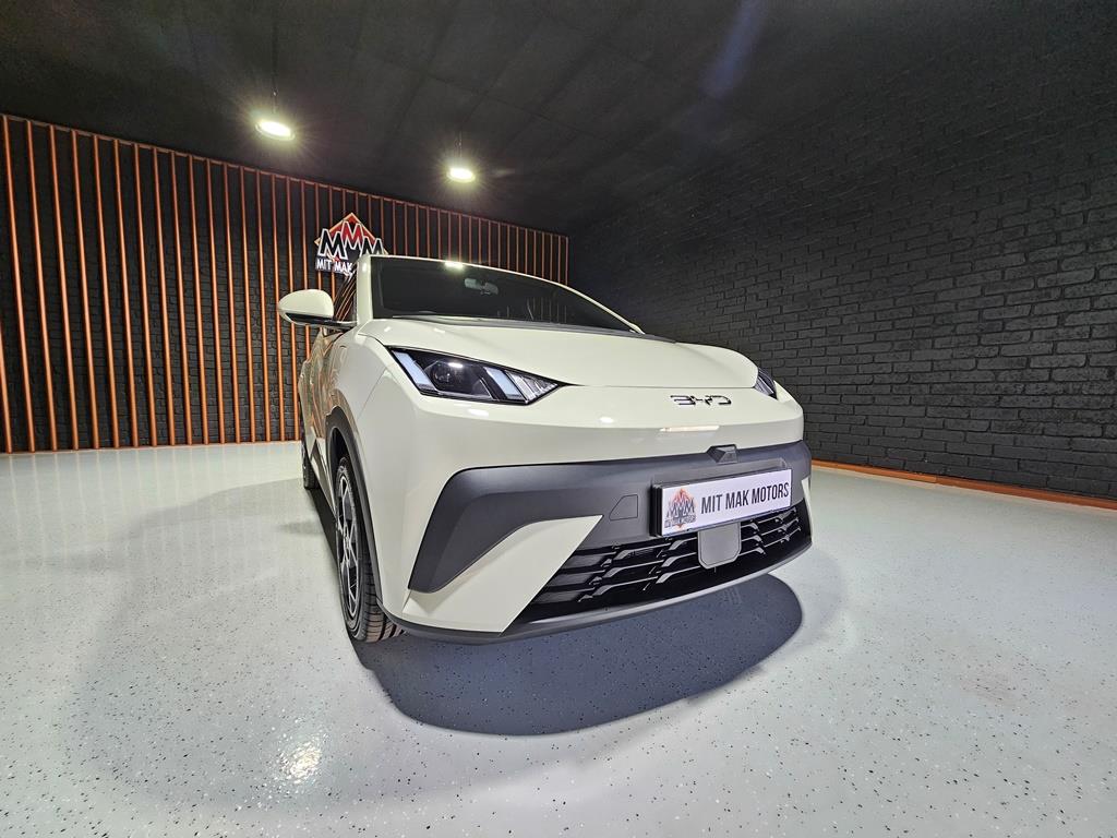BYD Dolphin Surf Comfort Mit Mak Motors Gerrit Maritz
