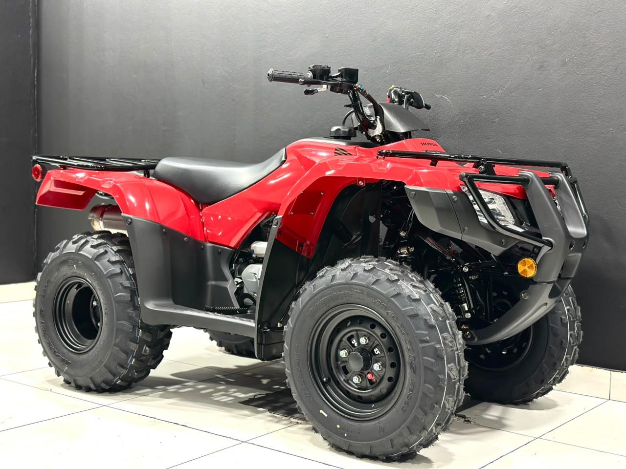 Honda TRX 250