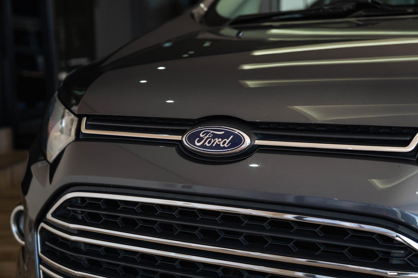Ford EcoSport 1.5TDCi Titanium Haval Bruma