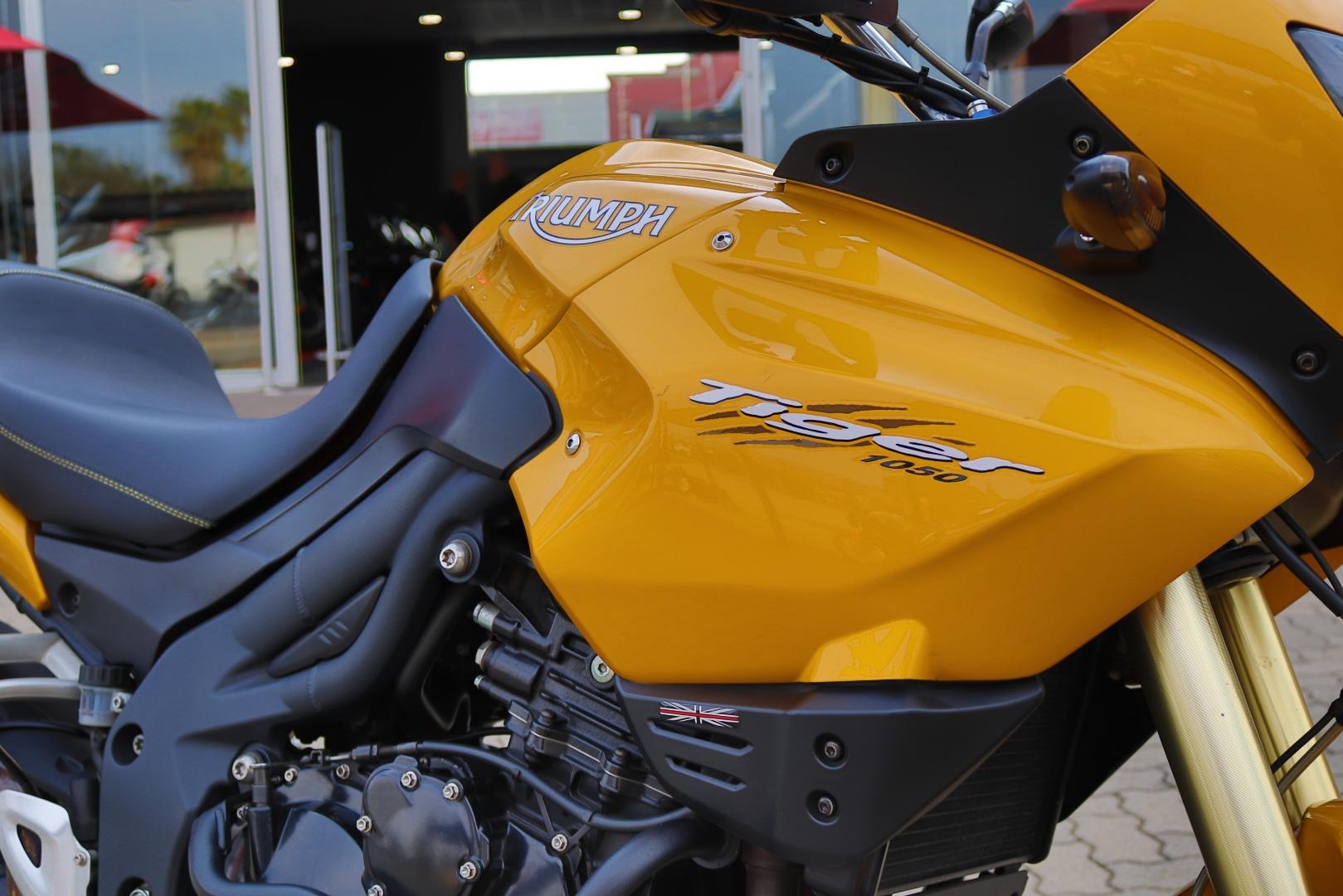 Triumph Tiger 1050 Harley Davidson Gold Rand