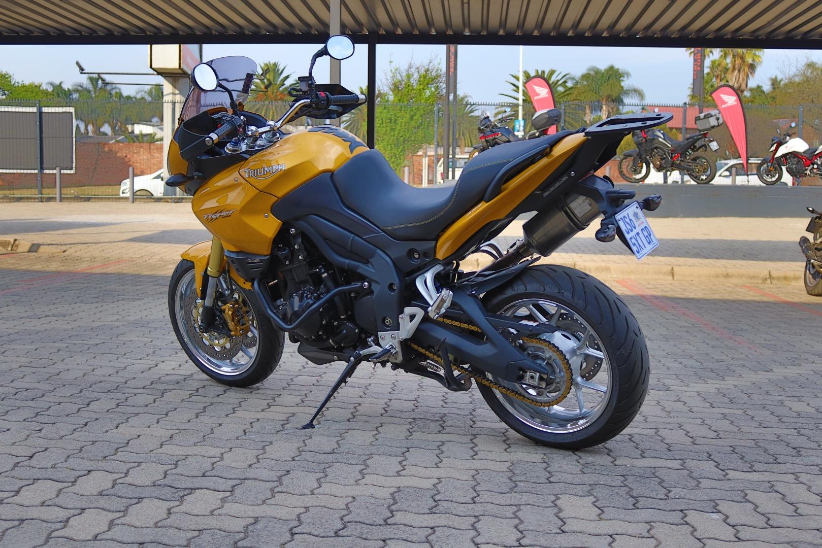 Triumph Tiger 1050 Harley Davidson Gold Rand