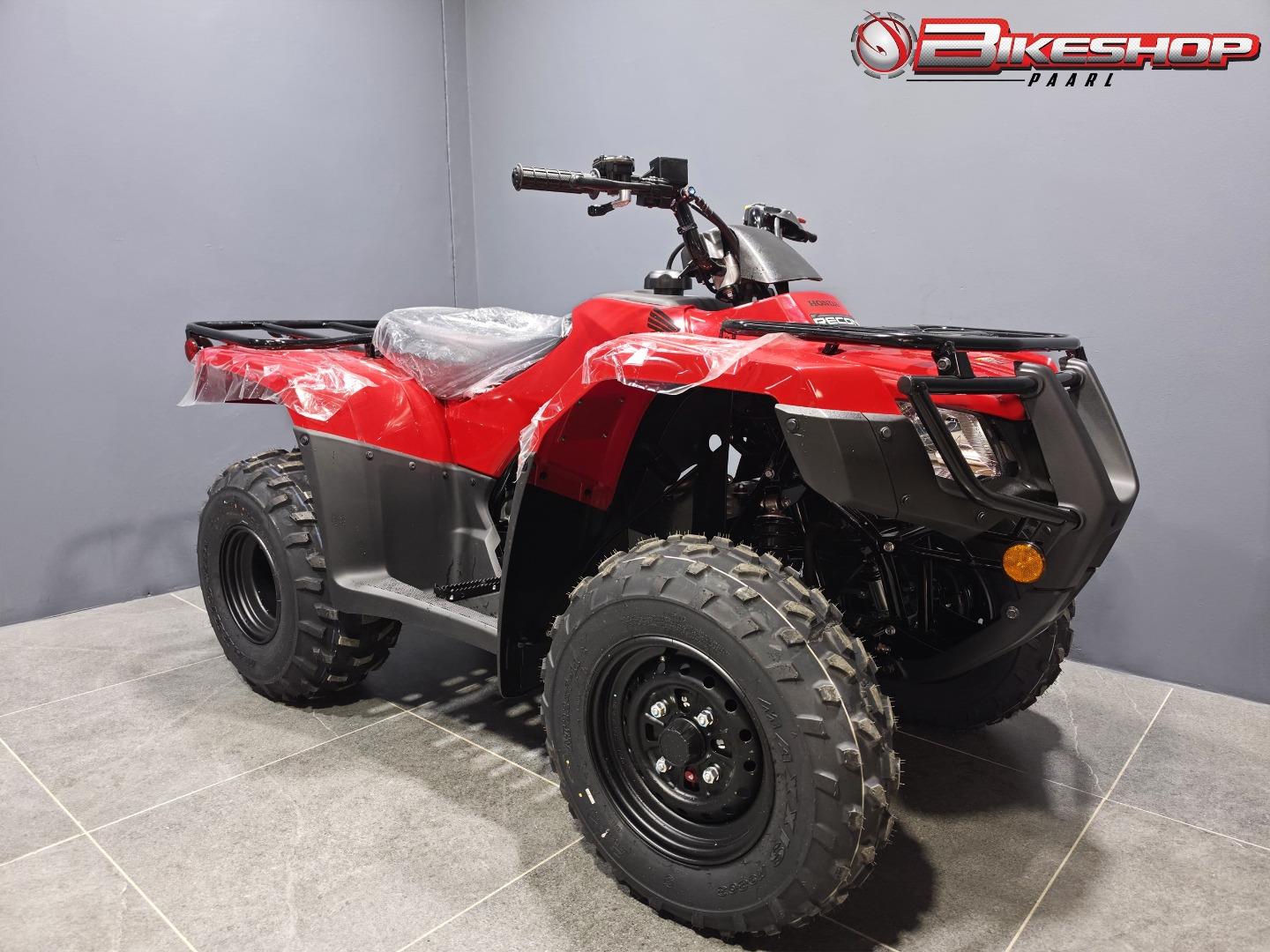 Honda TRX 250 TM
