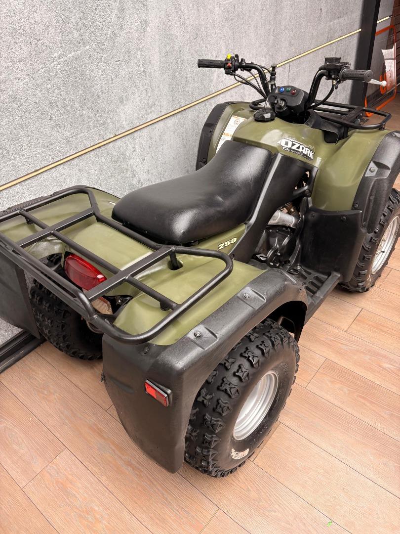 Suzuki OZARK 250 UB Leisure Bikes