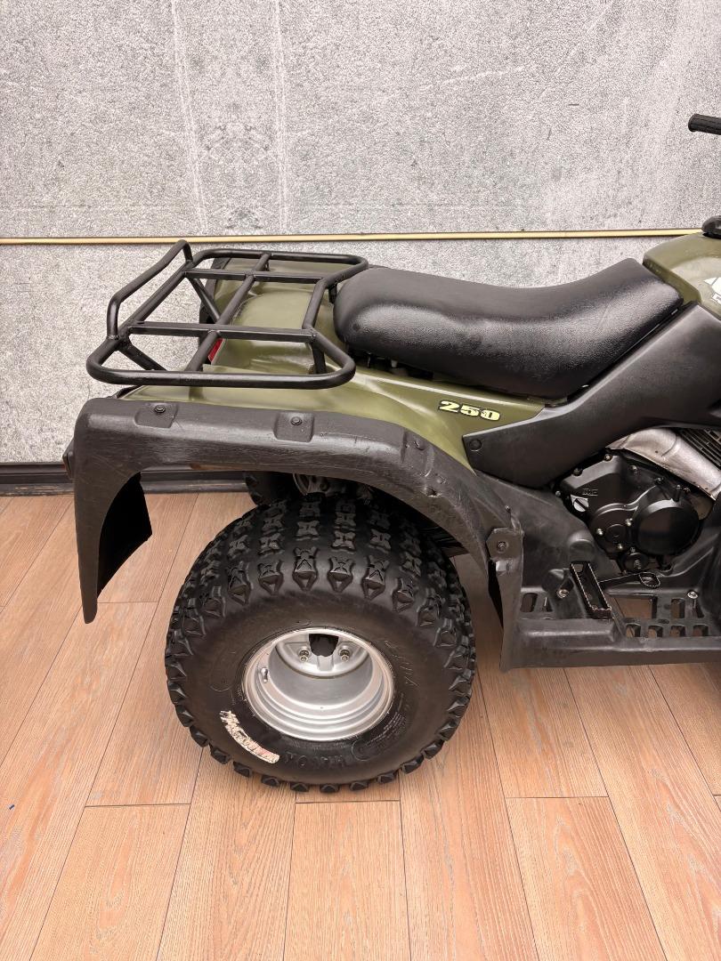 Suzuki OZARK 250 UB Leisure Bikes