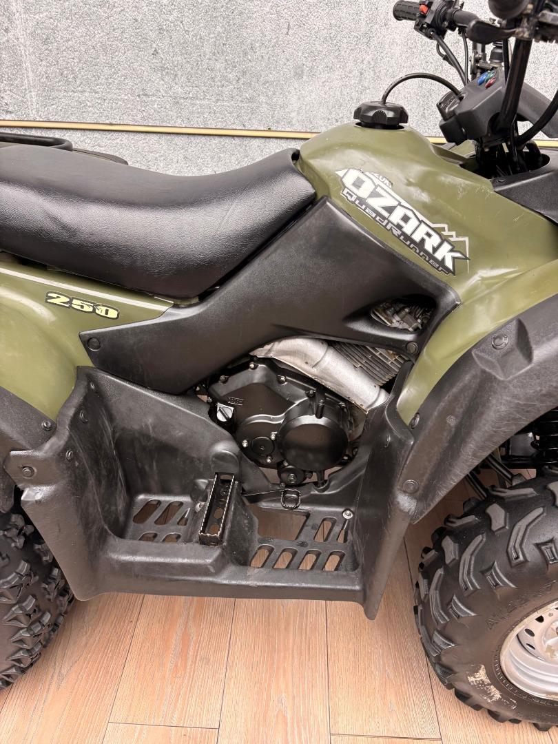 Suzuki OZARK 250 UB Leisure Bikes