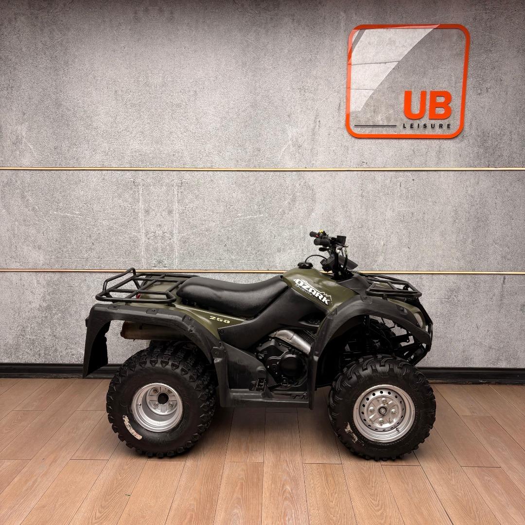 Suzuki OZARK 250 UB Leisure Bikes
