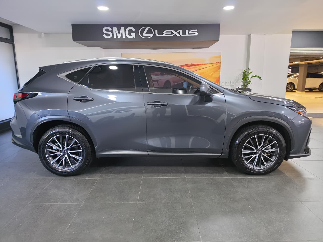 Lexus NX 350h EX SMG Lexus Umhlanga