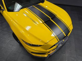 2017 Ford Mustang Roush 5.0 GT Fastback Auto L3 for sale