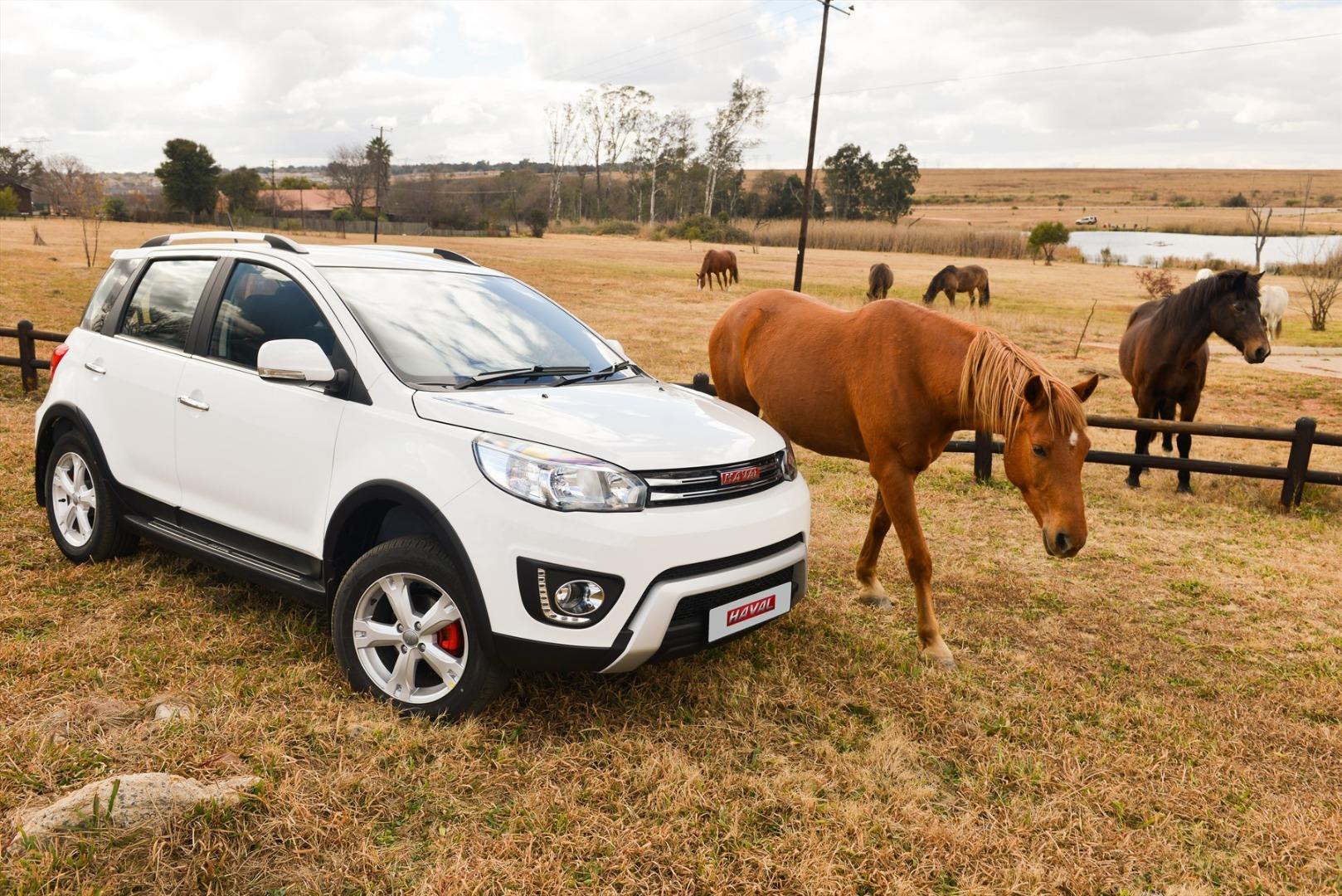 Haval H1